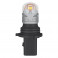 LED P13W Osram 5828CW