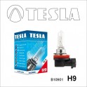 Автомобильная лампа H9 Tesla